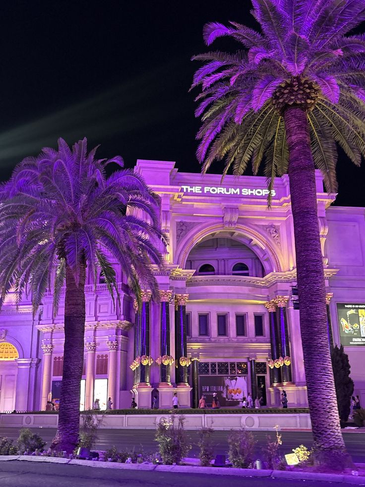 Palmiers illuminés en violet devant une façade de luxe le soir